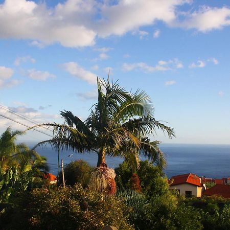Lugar Dos Louros 2 Estreito Da Calheta Exterior foto