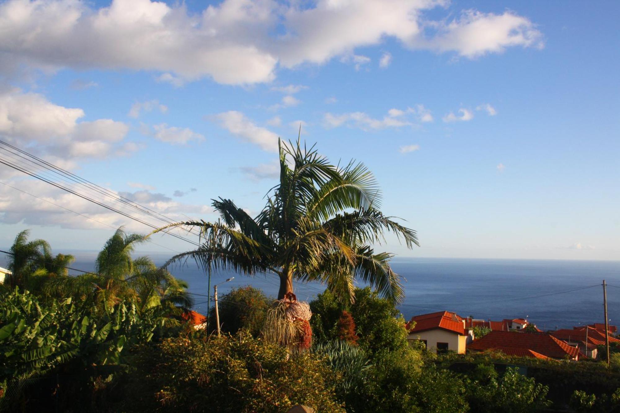 Lugar Dos Louros 2 Estreito Da Calheta Exterior foto