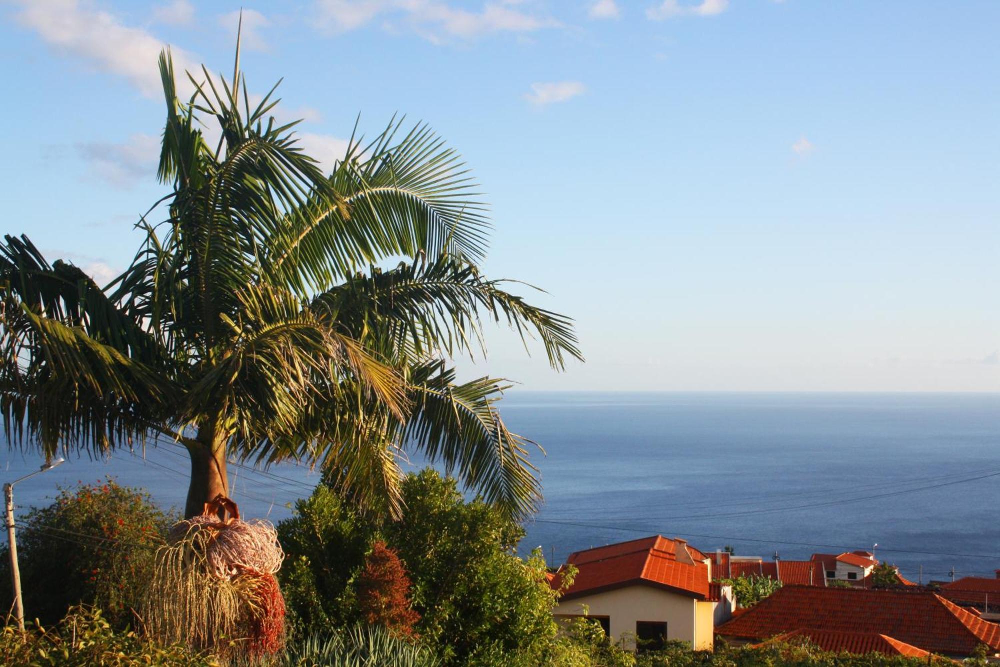 Lugar Dos Louros 2 Estreito Da Calheta Exterior foto